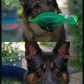 Basko und Dina