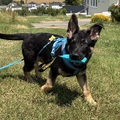 Jack