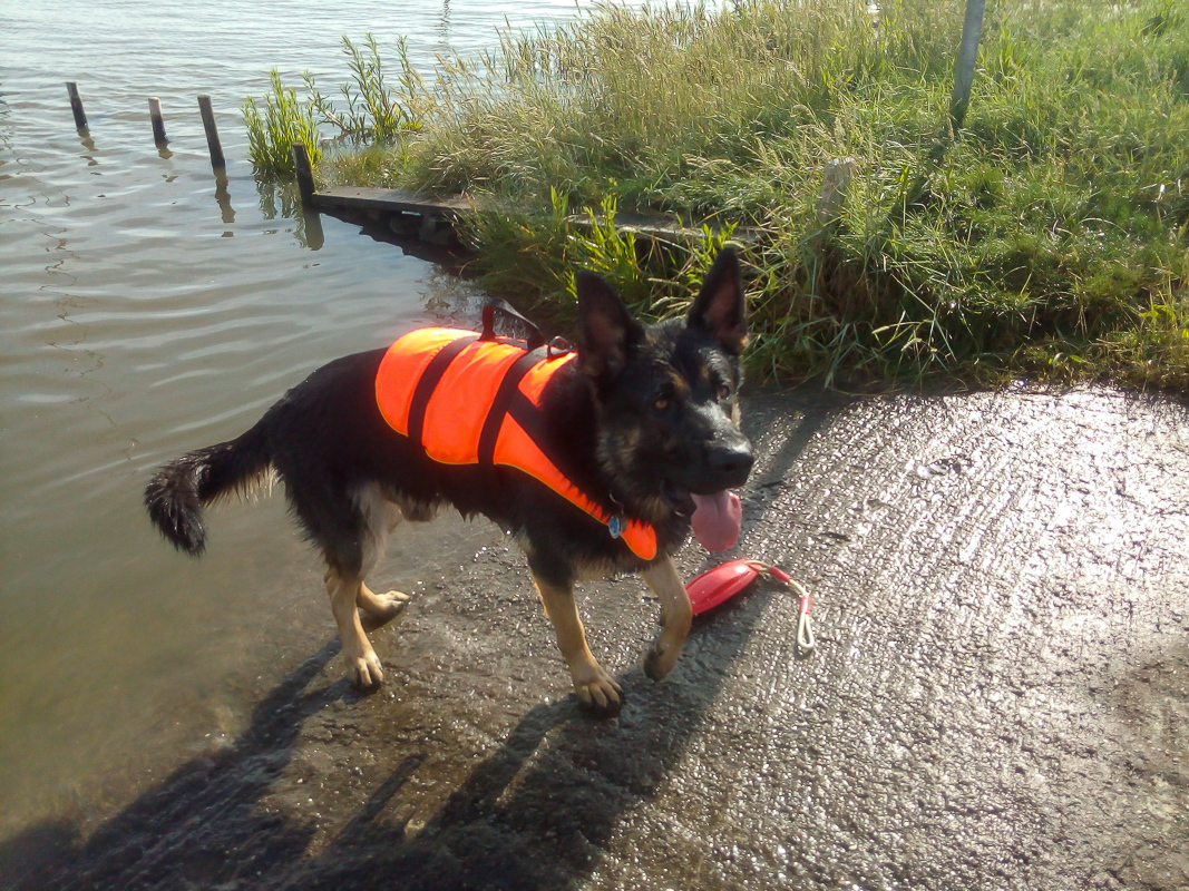 Die neue Schwimmweste passt super!