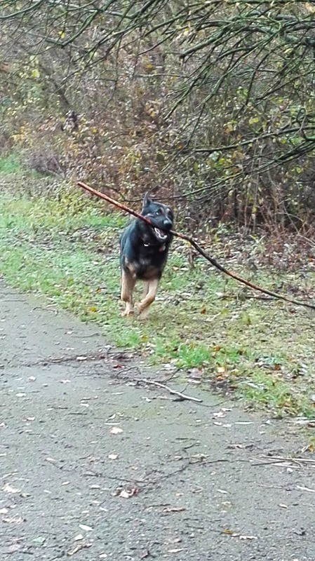 Kleine Stöcker sind uninteressant ;-)