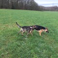 Kuba mit der 2 Monate jüngeren Nora