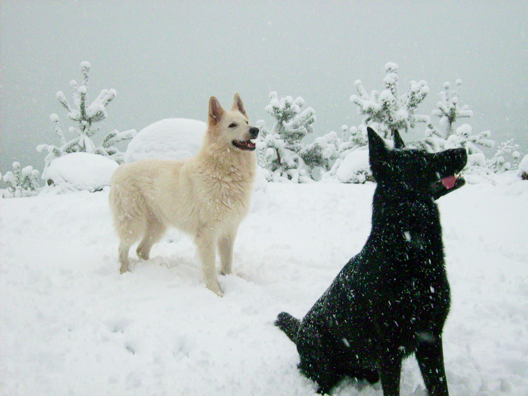 Winterspaziergang