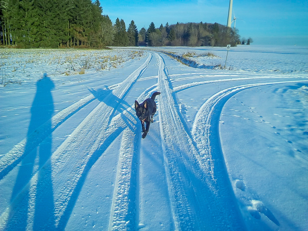 Spaziergang im Schnee bnei herrlichem Sonnenschein