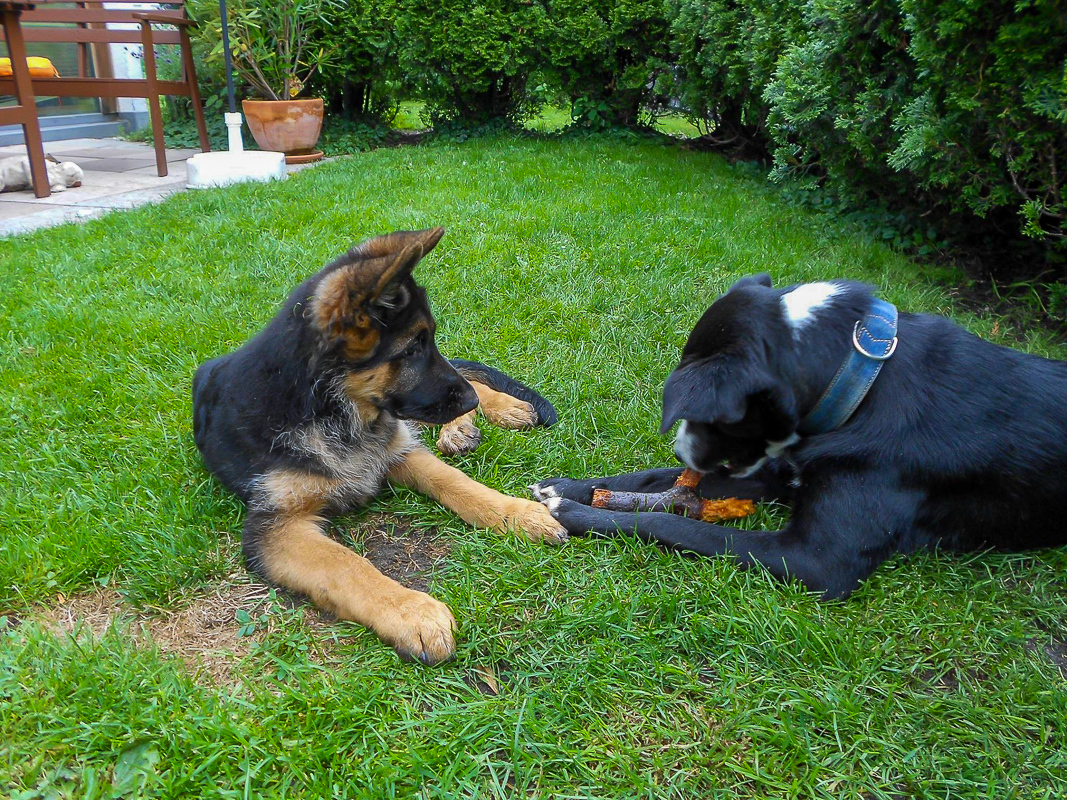 Tami und Amy