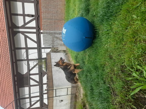 Tilli und der Riesenball