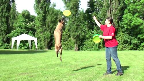 In the Air tonight.....Frisbee