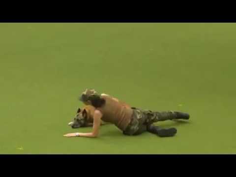 Military Dog Dance