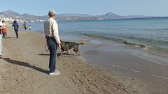 Spaß am Strand im Januar