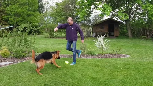 Witus spiel mit dem Eierball
