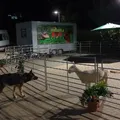 Nachts im Museum...ähm im Zoo! :-)
