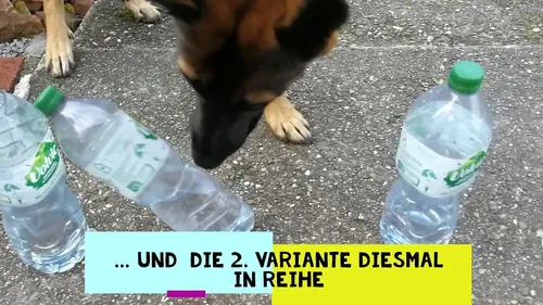 Flaschenkegeln