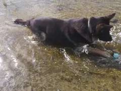Noch mehr Pfützen