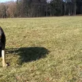 Lexy hat Wochenende
