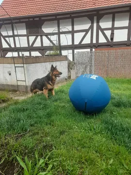 Tilli und der Riesenball