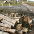Zweckentfremdung