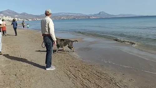 Spaß am Strand im Januar