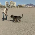 Ballwerfen am Strand