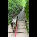 Reiseempfehlung Thüringer Wald