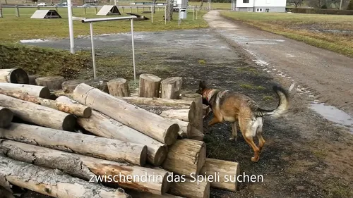Zweckentfremdung
