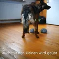 Balancekissen