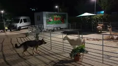 Nachts im Museum...ähm im Zoo! :-)