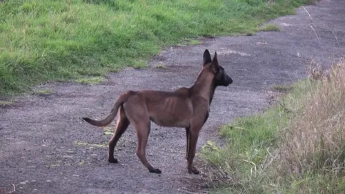 Lulu regt sich auf