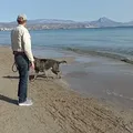 Spaß am Strand im Januar