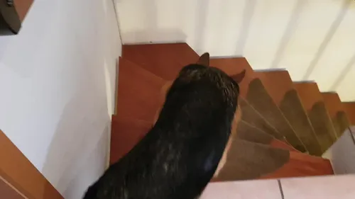 Besiegt: die böse Kellertreppe :)
