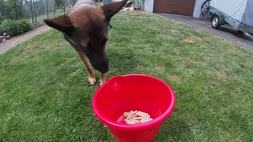 Lexy räumt auf